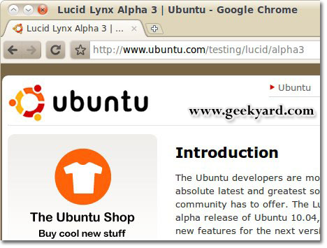 google chrome themes. Google Chrome for Linux gets