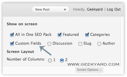 Custom Fields in WordPress Custom Fields in WordPress